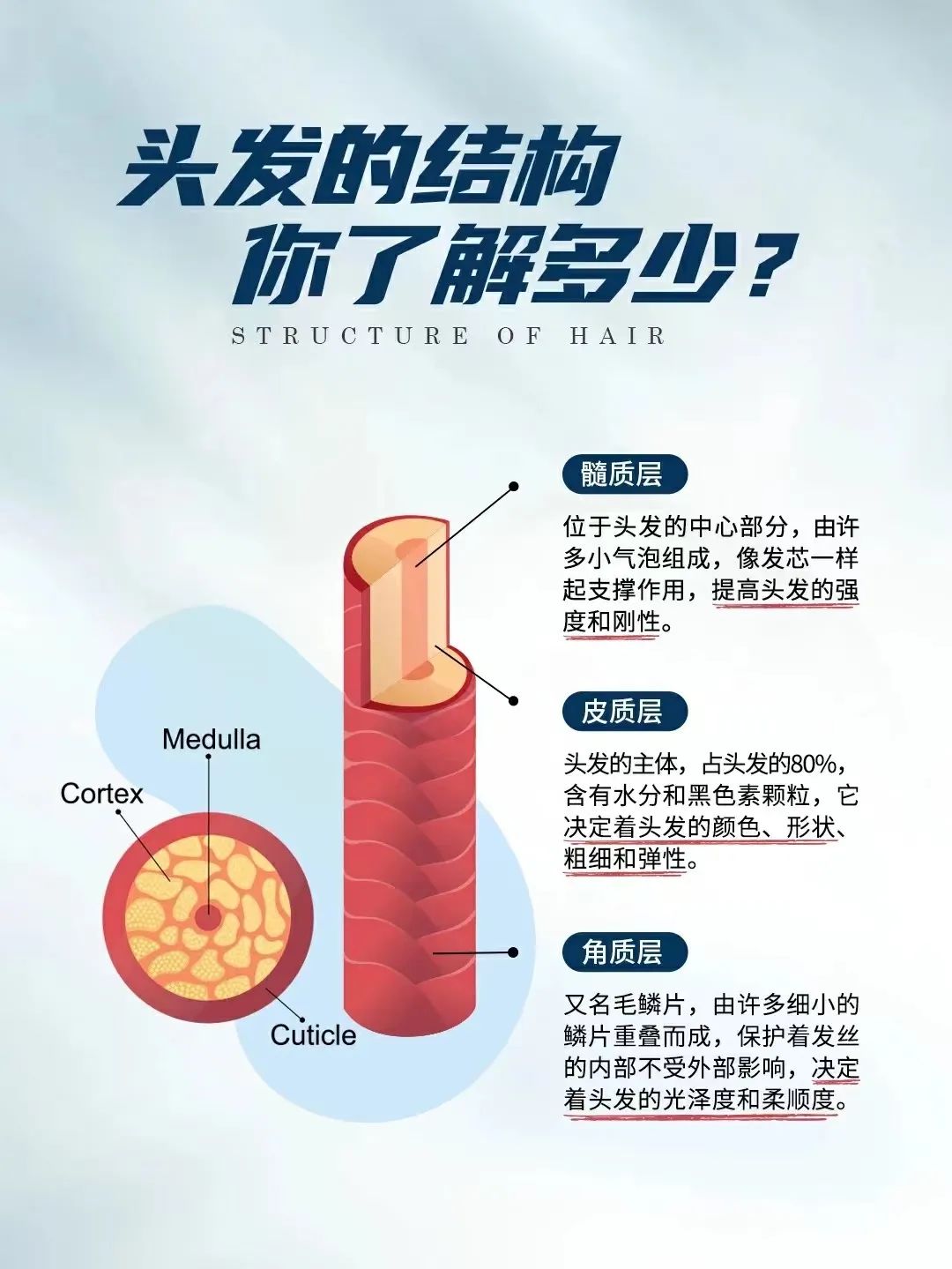 我敢说，没几个人真正“认识”我们的头发